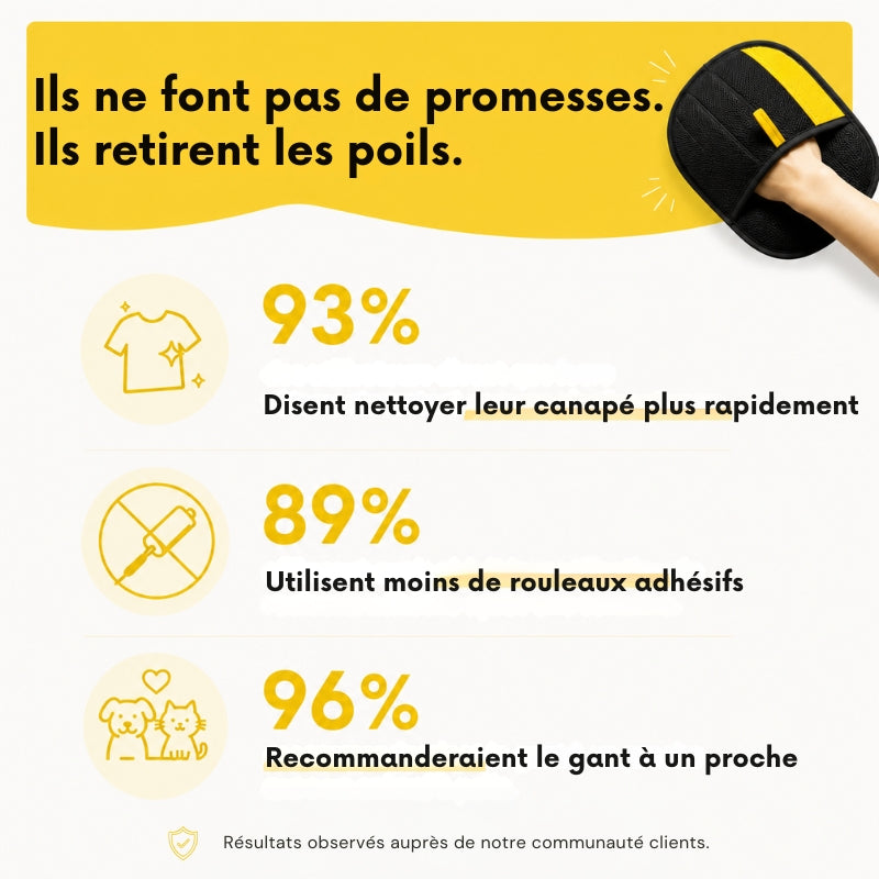 Gant Électrostatique Anti-Poils