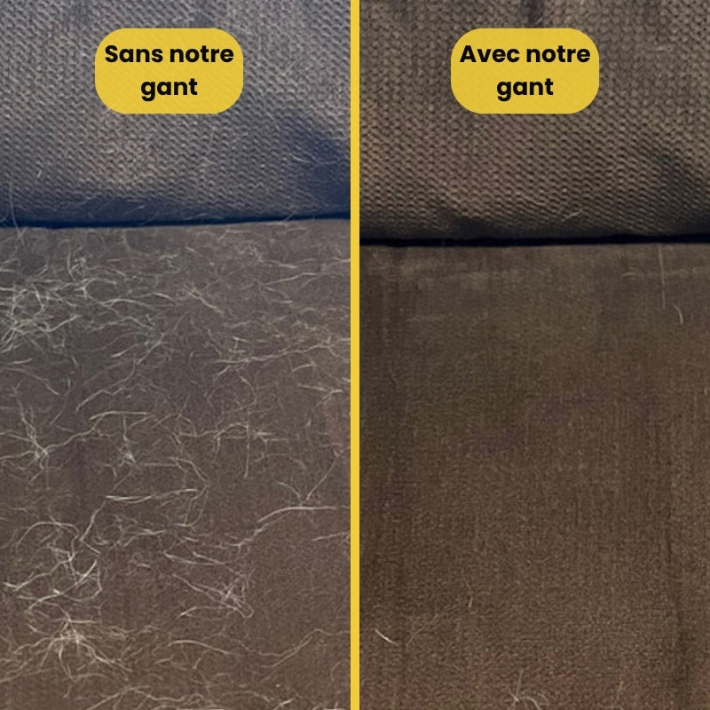 Gant Électrostatique Anti-Poils