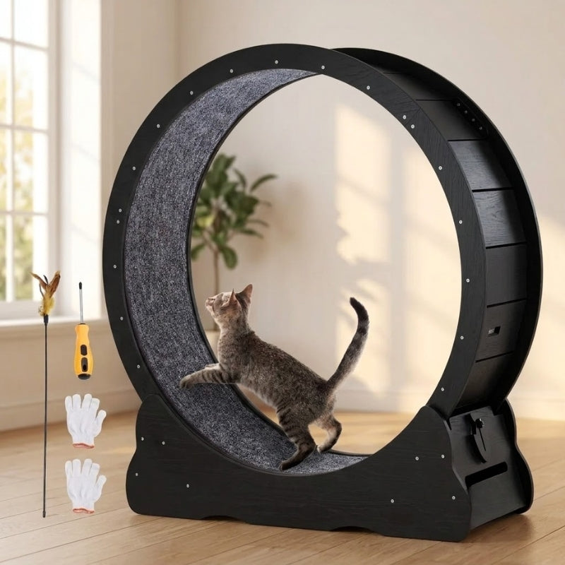 Roue exercice chat XL bois silencieuse — chat tabby en train de courir sur la piste