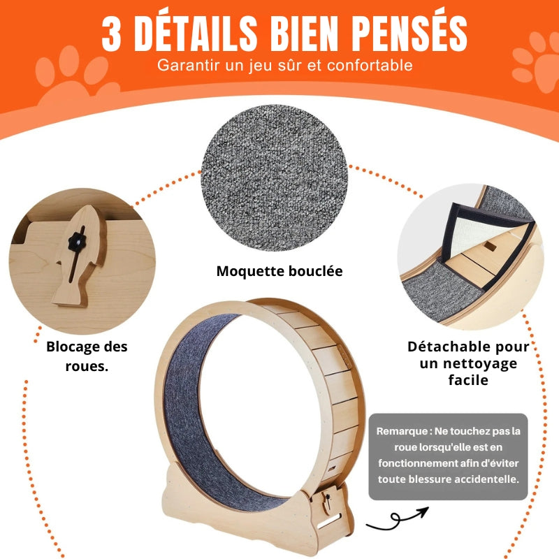 Roue d'Exercice pour Chat XL en Bois — Silencieuse & Spécial Grands Chats | LesMistigris