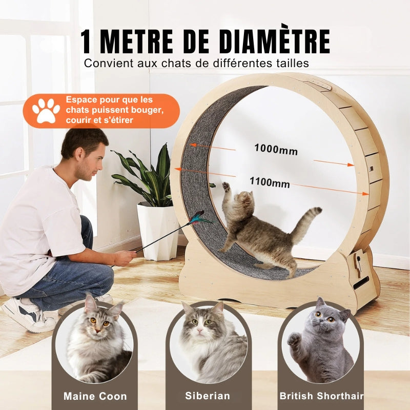 Roue d'Exercice pour Chat XL en Bois — Silencieuse & Spécial Grands Chats | LesMistigris