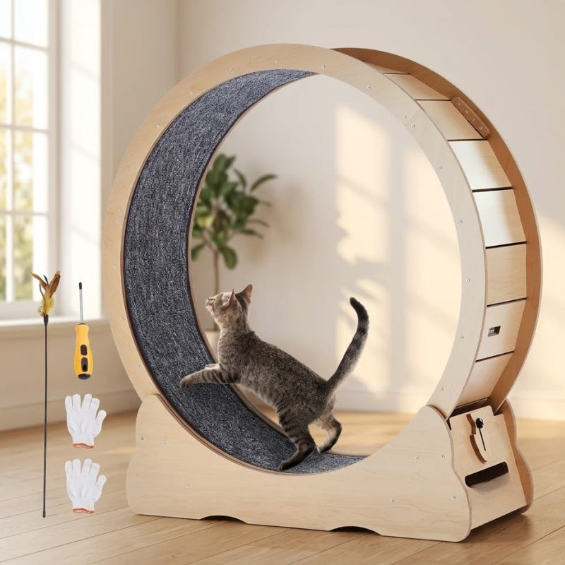 Roue d'exercice pour chat XL en bois naturel 110cm — spécial Maine Coon et grands chats