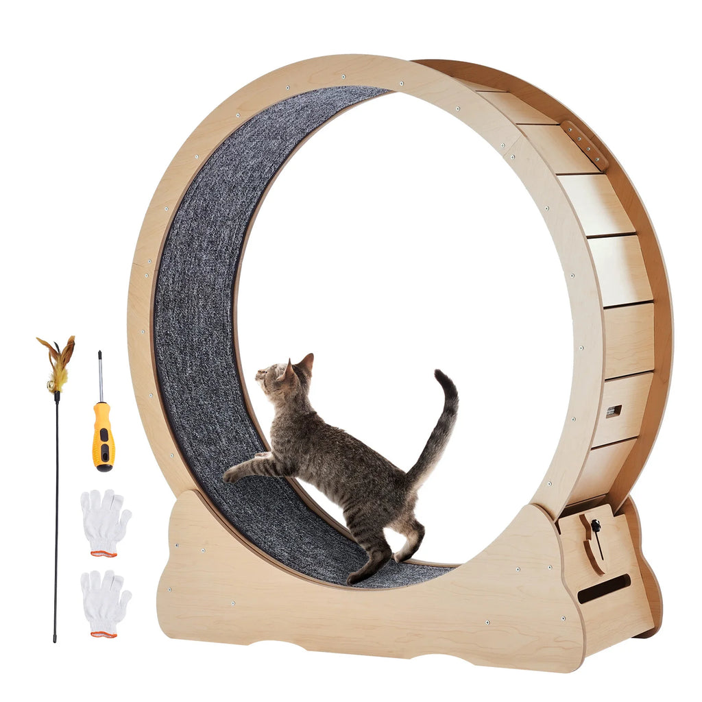 Roue d'Exercice pour Chat XL en Bois — Silencieuse & Spécial Grands Chats | LesMistigris