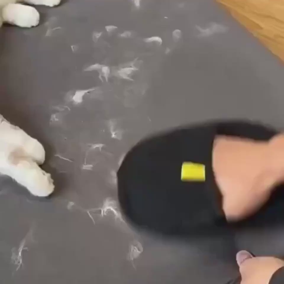 Vidéo